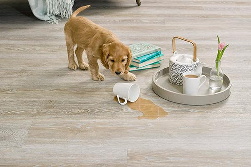 How To Maintain Vinyl Flooring