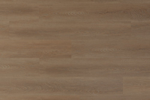 Spectra Luxury Gluedown Vinyl Flooring Greige Oak Plank